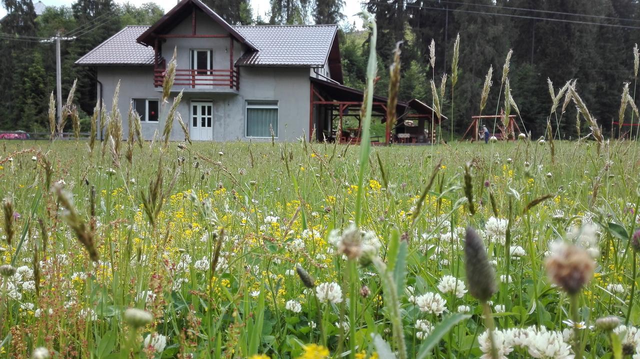 Cabana Georgiana Arieşeni Eksteriør bilde